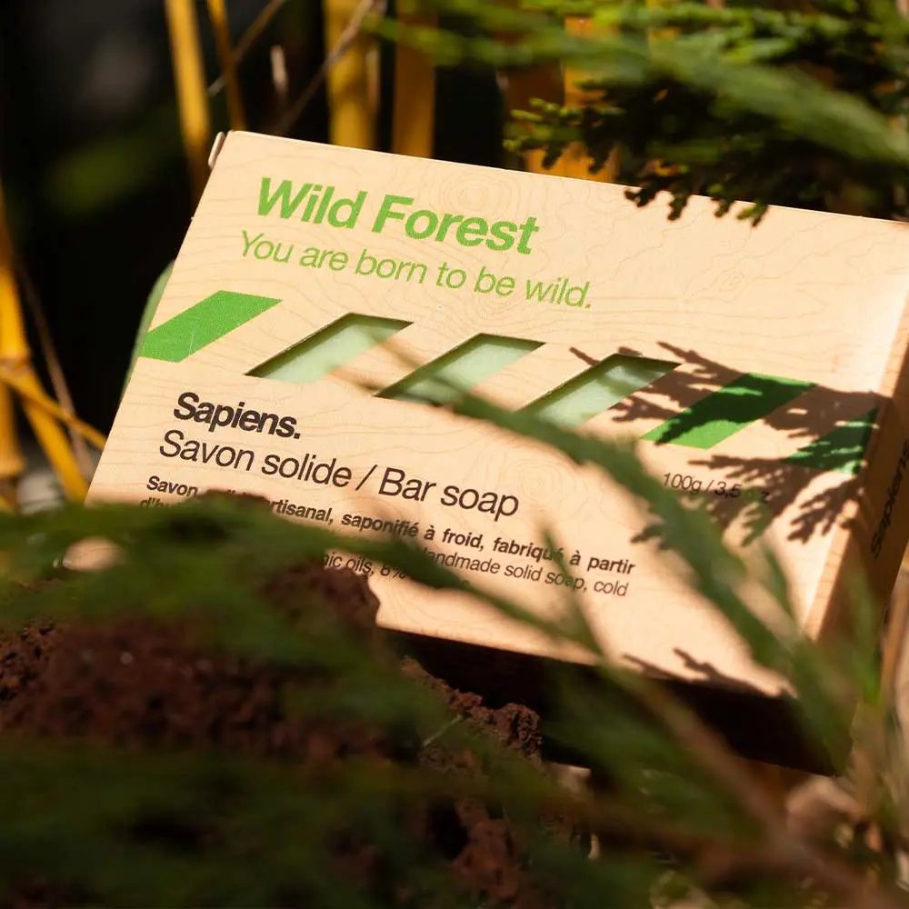 Savon solide | Wild Forest - Image 3