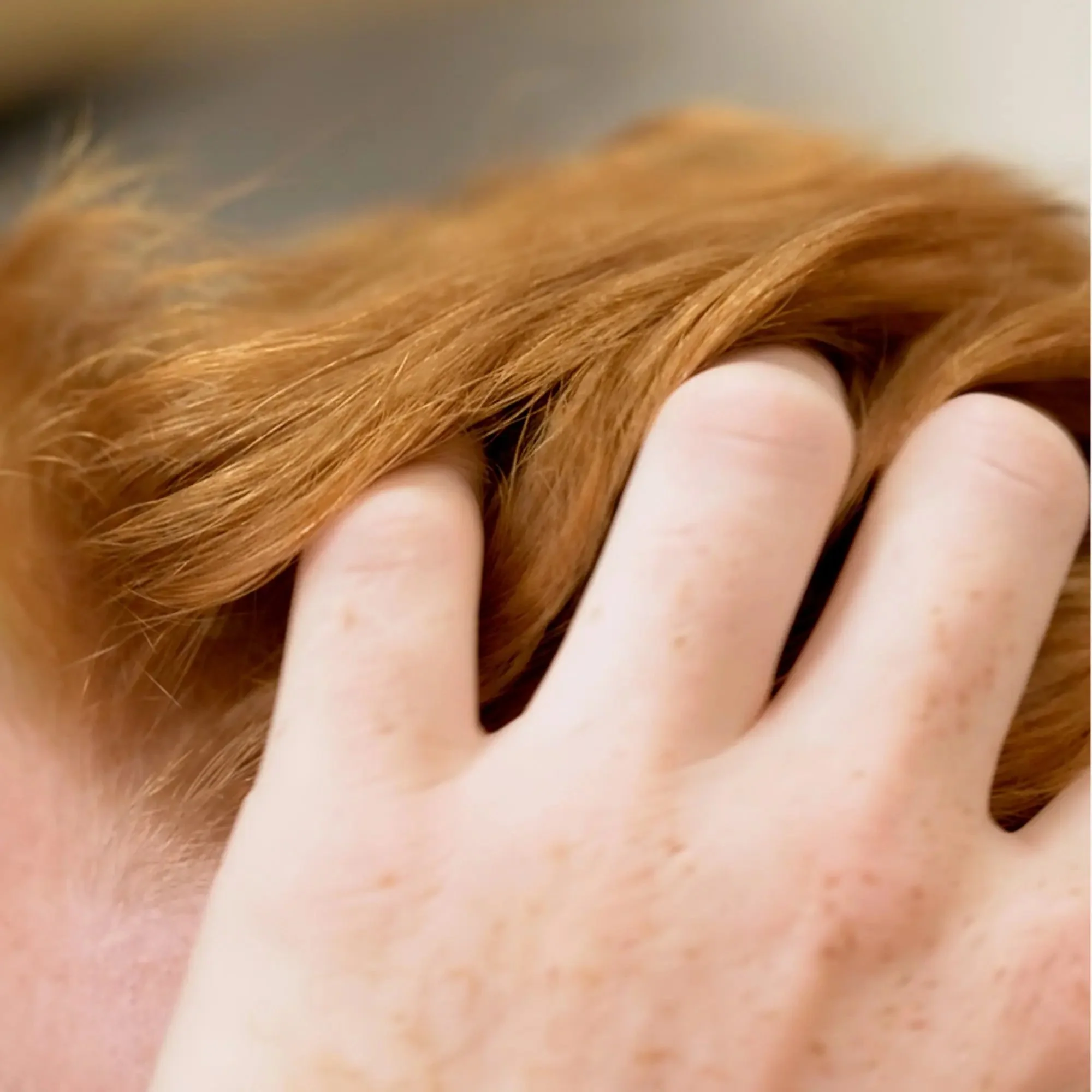 Shampoing Solide Cheveux - Image 5